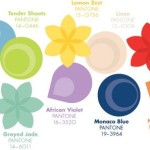 color-pakette