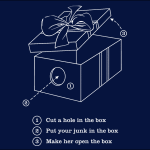 dick in a box