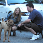 5-Ways-to-Make-Friends-With-Your-Boyfriends-Pet-pic