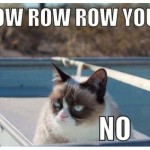 grumpy cat, the urban dater, NO. grumpy cat,