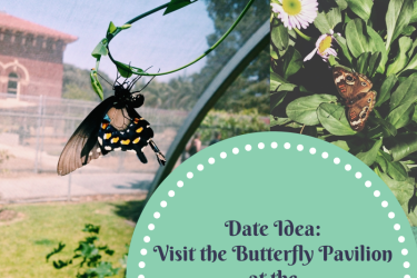 dates, things to do, dates in los angeles, fun dates, LA, DTLA, downtown los angeles, natural history museum, butterfly pavilion, casual dates, date ideas