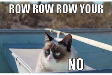 grumpy cat, the urban dater, NO. grumpy cat,