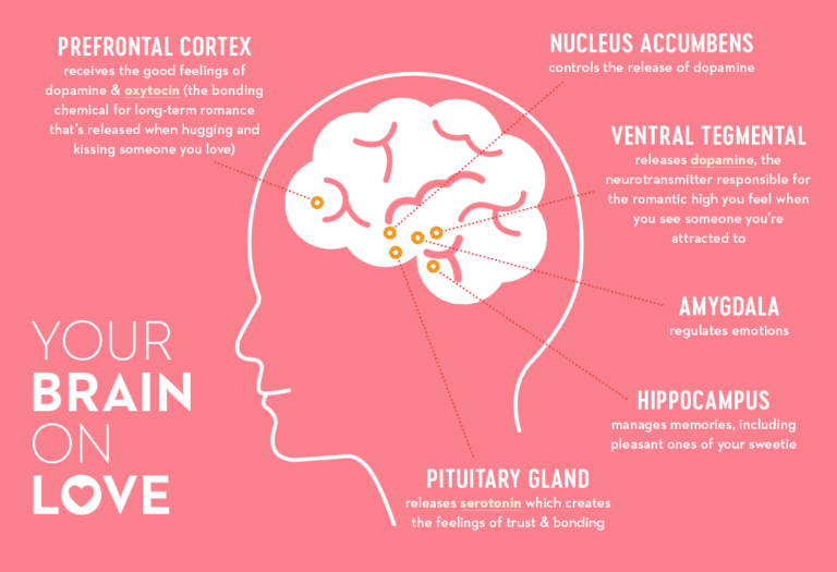 The Neuroscience Of Moving On The Urban Dater