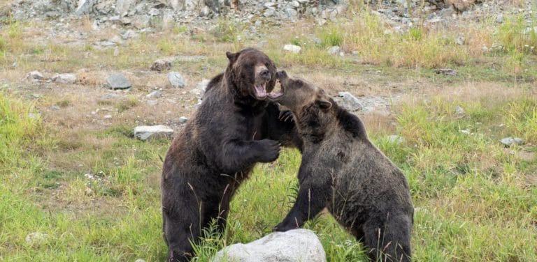 How to Overcome Jealousy in the Modern Dating World